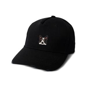 Кепка Border Collie