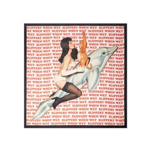 Шарф Slippery When Wet из коллаборации с Jeff Koons