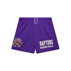 Сетчатые шорты NBA Raptors с логотипом