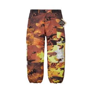 Карго-штаны Supreme GORE-TEX Cargo Pant 'Multicolor'
