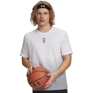 Мужская футболка с коротким рукавом с тройным логотипом Hoops