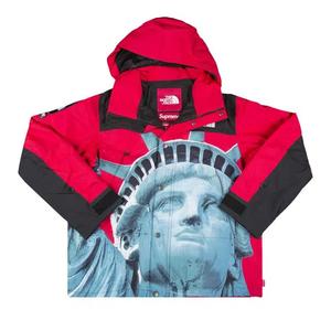 Куртки Supreme x The North Face Statue Of Liberty Mountain Jacket 'Red'