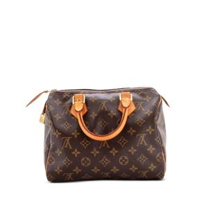 Сумка-сэтчел Speedy Handbag Monogram Canvas 25
