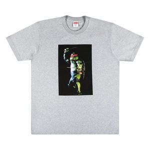 Футболки Supreme Raphael Tee 'Heather Grey'