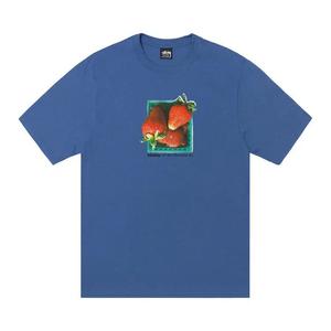 Топы Stussy Berries Tee 'Blue'