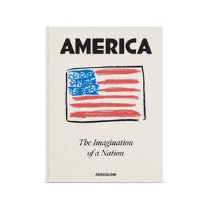 Книга x Joel Stein America: The Imagination of a Nation