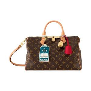 Сумки через плечо Louis Vuitton Speedy Soft 30 Crafty 'Brown Monogram Canvas'