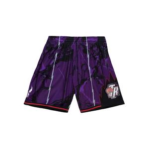Шорты "NBA Toronto Raptors 1998" Team Marble