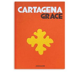 Книга Cartagena Grace