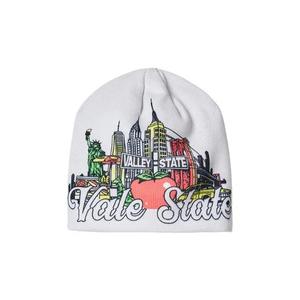 Шапки-бини Vale Forever Greyski Beanie 'Grey'