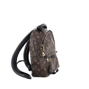 Рюкзак Palm Springs Monogram Canvas PM
