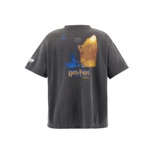 Футболка Harry Potter Chamber of Secrets