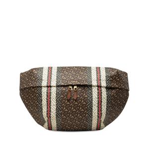 Поясная сумка Extra Large TB Monogram E-Canvas Stripe (2018-2023 годы)