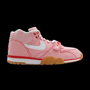 Лайфстайл Теннис Nike Air Trainer 1 Premium Qk