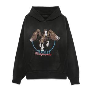 Худи Pegasus