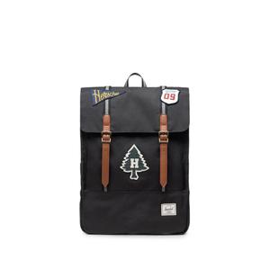 Рюкзак Survey 20L с нашивкой