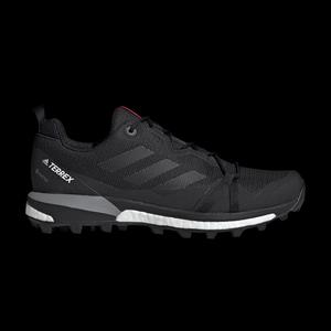 Кроссовки Adidas Wmns Terrex Skychaser LT GTX 'Carbon'