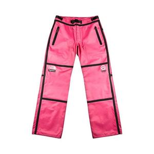 Брюки Supreme x The North Face Summit Series Outer Tape Seam Mountain Pant «Pink»