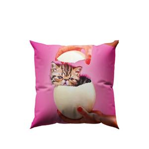 Подушка Cat Surprise