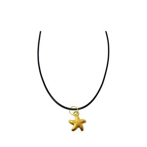 [СПЕЦИАЛЬНОЕ] LITZ 999 (24K) Золотая подвеска-звезда с кожаным чокером из нержавеющей стали EP0305-AC (0.20 г+/-)