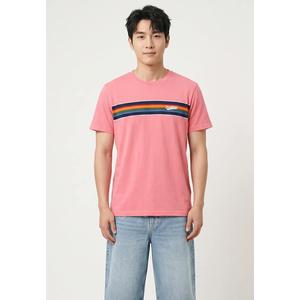 Футболка с полосатым логотипом Outdoor Stripe Logo Relaxed Tee