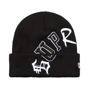 Вязаные шапки Supreme New Era Arc Beanie 'Черный'