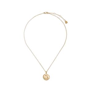 Колье Pisces Zodiac с подвеской
