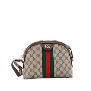 Маленькая сумка на плечо Ophidia Dome GG Coated Canvas