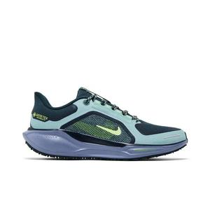 Спортивный бег Nike Air Zoom Pegasus 41 GORE-TEX 'Cannon Obsidian'