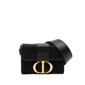 2020 Oblique Canvas 30 Montaigne Box Bag сумка через плечо