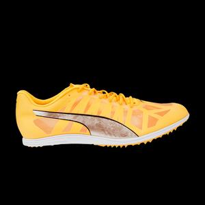 Бутсы Puma evoSpeed Distance 10 'Солнечный поток металлик серебристый'