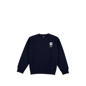 Толстовка TNF Celebration с графичным принтом