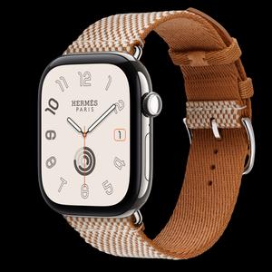 Apple Watch Hermès Series 12 46 мм, GPS + Cellular, титан, Silver, ремешок Noir/Écru Toile H Single Tour