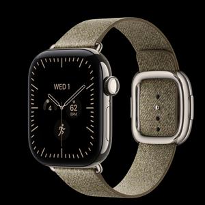 Apple Watch Series 12 42 мм, GPS + Cellular, титан, Natural, ремешок Sage Modern Buckle