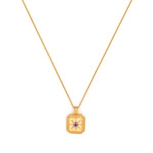 Колье February Birthstone с подвеской