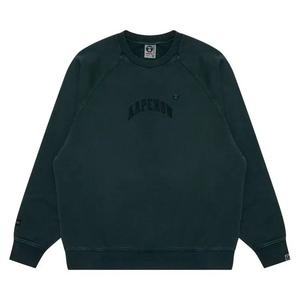 Свитшоты AAPE Now Crew Neck Sweatshirt 'Green/Charcoal'