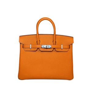 Сумка Birkin 25 Togo (2026 год)