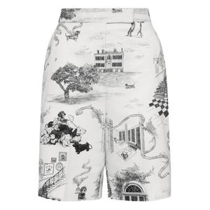 Шорты-бермуды Hector Toile