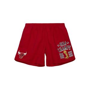 Шорты Chicago Bulls 6x Champions Heritage