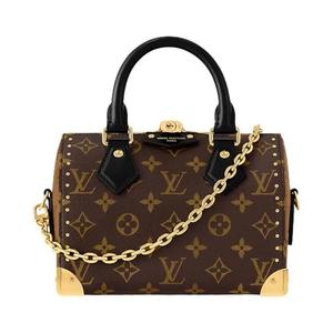 Сумки с ручками Louis Vuitton Speedy Trunk 20 'Коричневый монограммный холст'