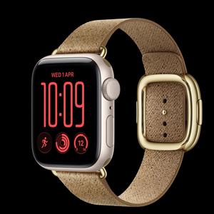 Apple Watch SE 3 40 мм, GPS, алюминий, Starlight, ремешок Camel Modern Buckle
