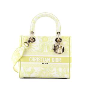Сумка-сэтчел Lady D-Lite Bag Embroidered Canvas Medium