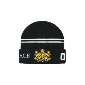 Бини Palace Established Beanie «Black»