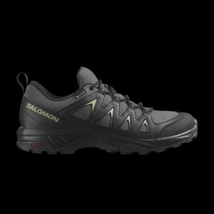 Кроссовки Salomon X Braze GORE-TEX 'Magnet Gray Green'